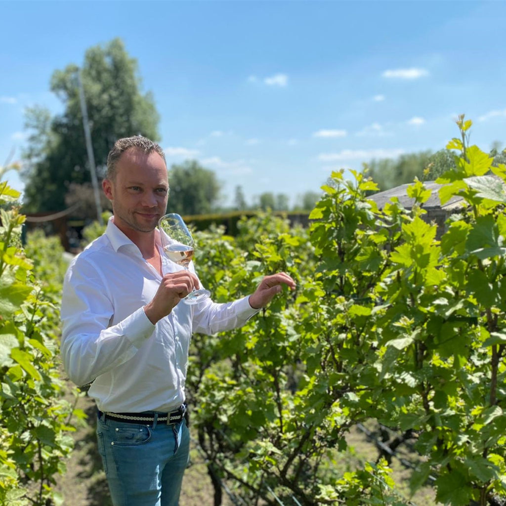 Peter’s favoriete rosé wijnen.