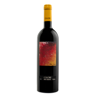 BIBI GRAETZ COLORE IGT TOSCANE 2022