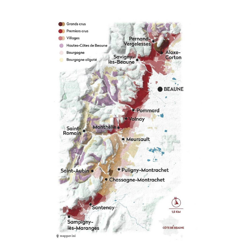 ALOXE CORTON Domaine RAPET Père & Fils 2021