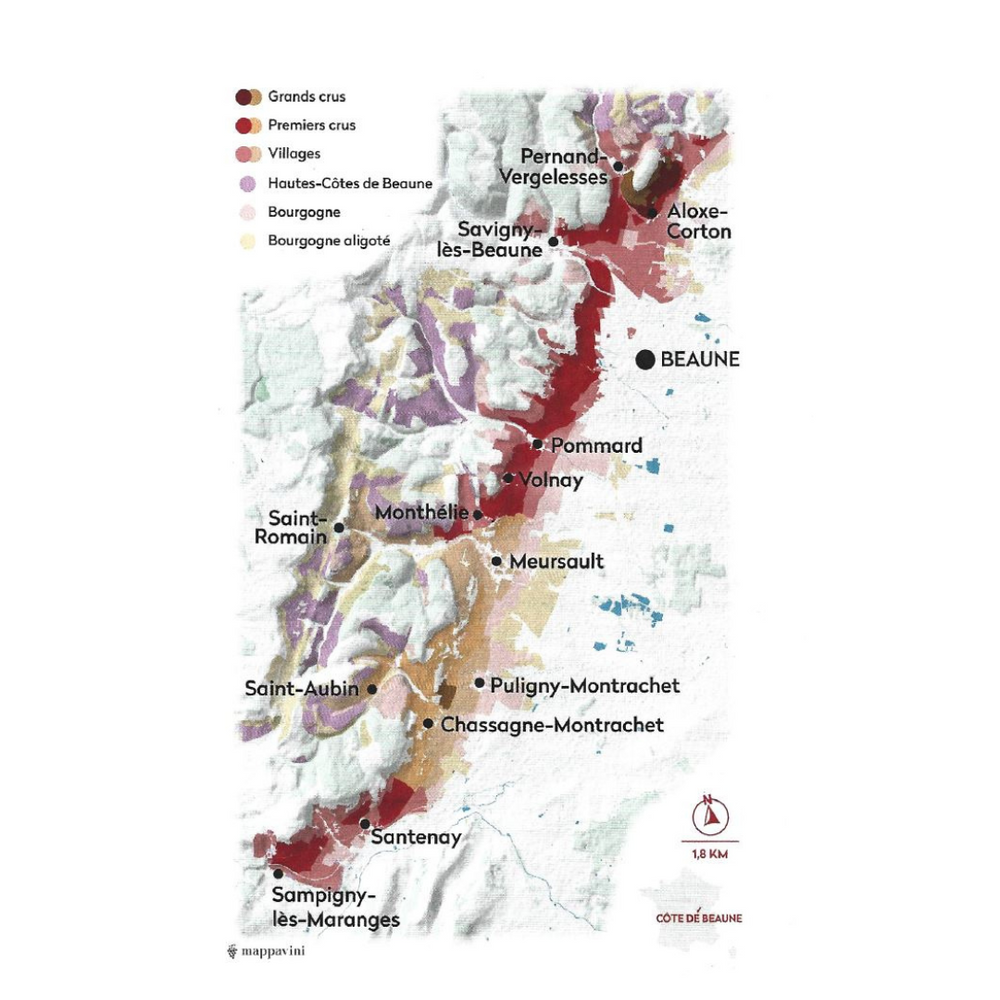 ALOXE-CORTON Domaine RAPET Père & Fils 2022