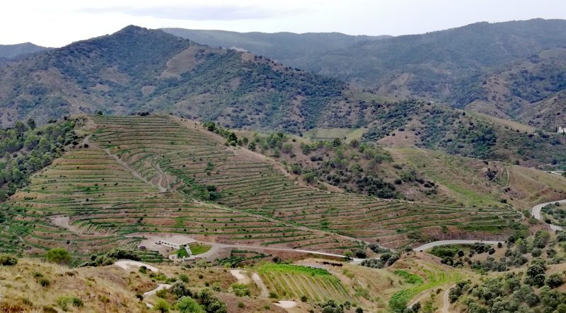 MARCO ABELLA CLOS ABELLA 2019
