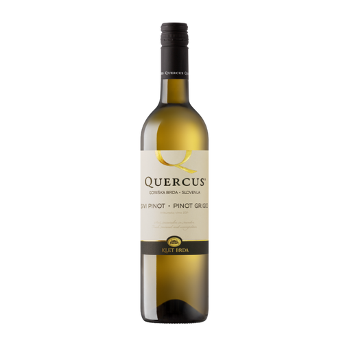 QUERCUS PINOT GRIGIO 2024