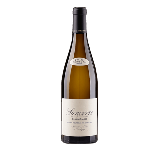 SANCERRE GRAND' CHAILLE, Domaine Thomas & Fils 2025
