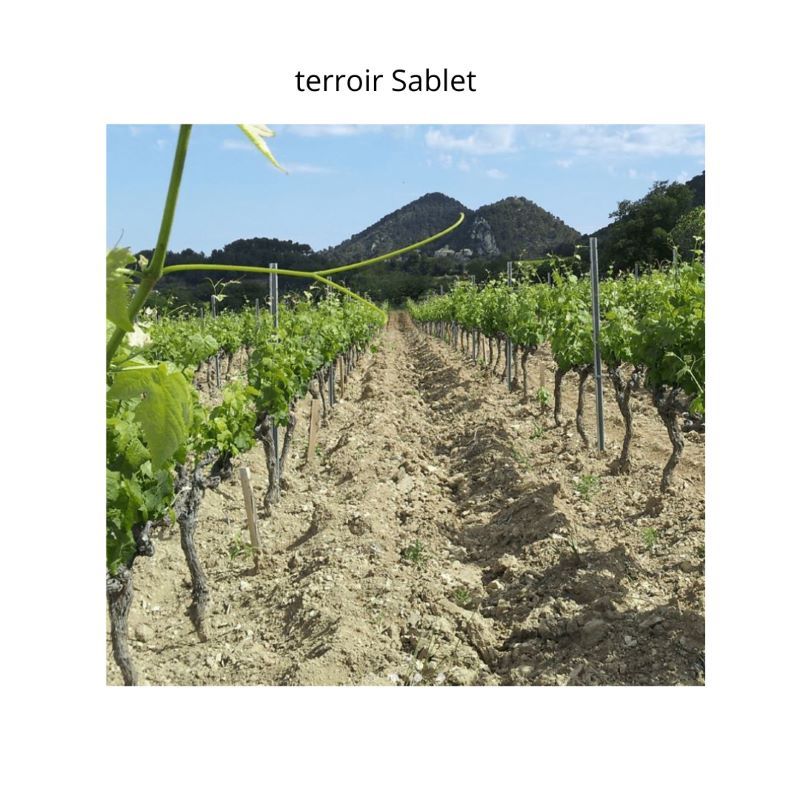 SABLET CUVEE CLEMENCE  Domaine de Boissan 2021